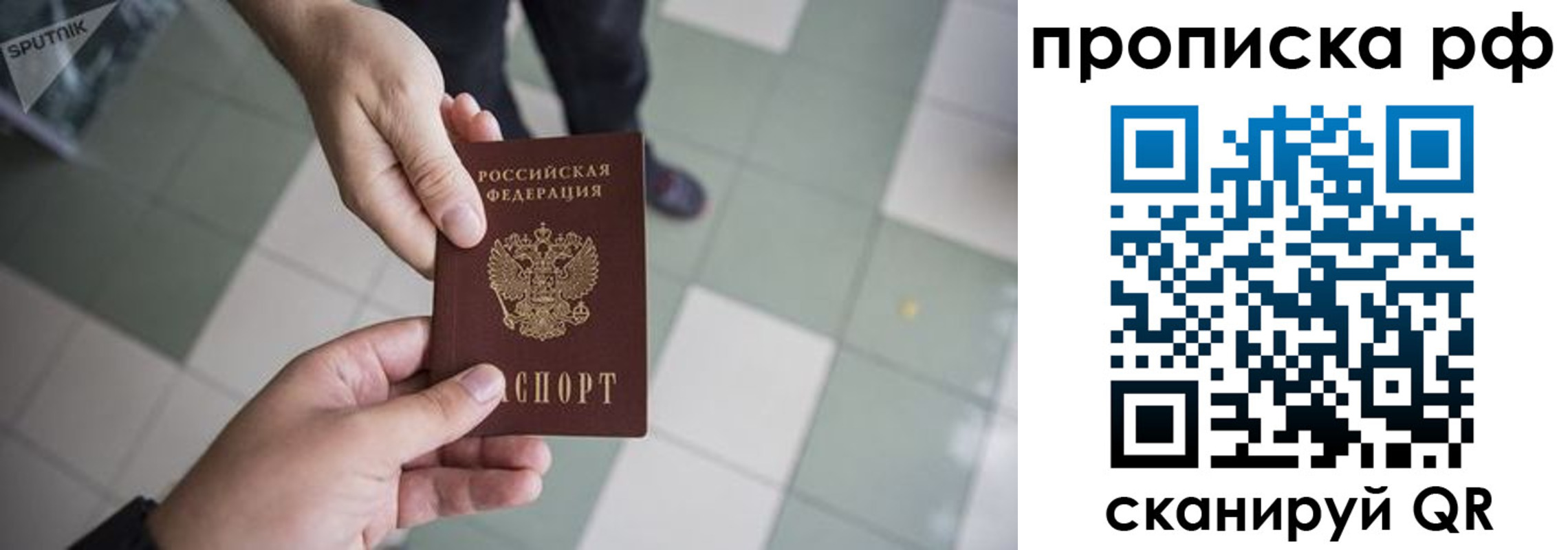 прописка гарантия в Яхроме